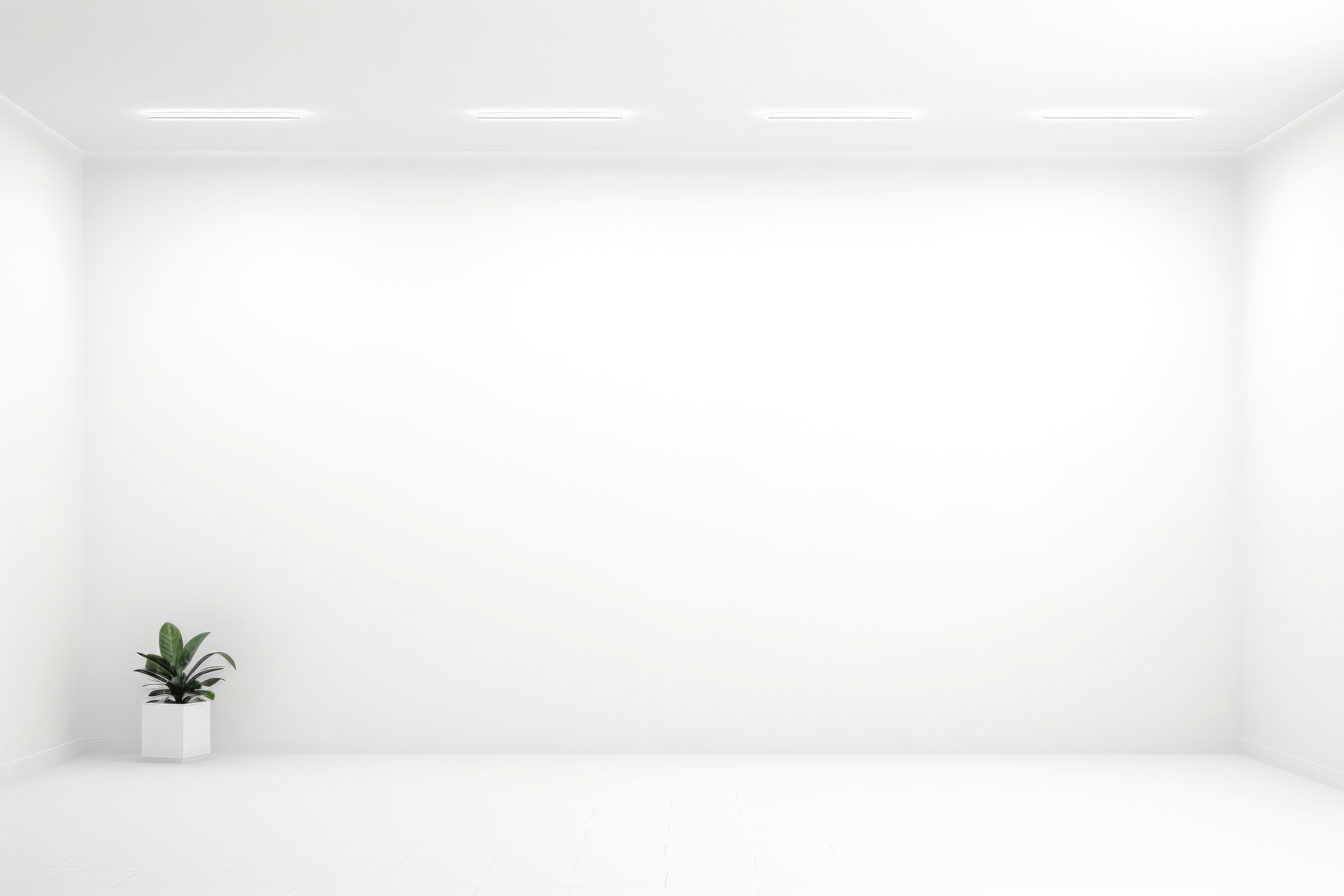 Wall Solutions Services